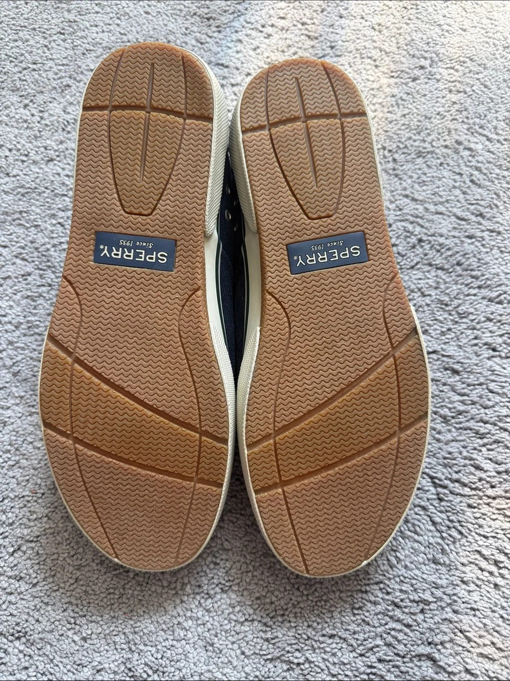 Sperry Men's Dark Navy Canvas Boat Shoes